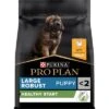 PURINA PRO PLAN Large Robust Puppy Healthy Start -Paws Tienda 07613035114647 h1n1 01 es 44142651 2