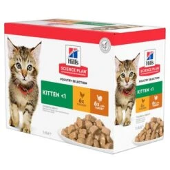 Hill's Science Plan Hill's Kitten Para Gatos -Paws Tienda 101365 pla hills science plan kitten gefluegel auswahl 5