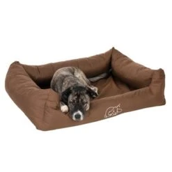 Cama Strong & Soft Para Perros -Paws Tienda 104018 strong soft bett fg 6899 3