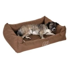 Cama Strong & Soft Para Perros -Paws Tienda 104018 strong soft bett fg 6908 0