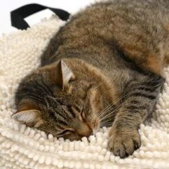 Cojín Para Mascotas Color Crema -Paws Tienda 104122 katze fg 5644 5