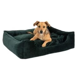 Cama Modern Living Fern Para Perros -Paws Tienda 111546 hundebett fern fg 0532 4