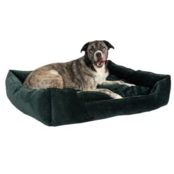 Cama Modern Living Fern Para Perros -Paws Tienda 111547 hundebett fern fg 0546 0