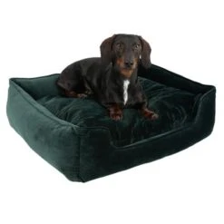 Cama Modern Living Fern Para Perros -Paws Tienda 111707 hundebett fern fg 0620 4