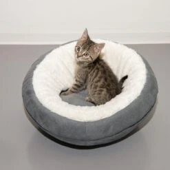Cueva Ellora Para Gatos Y Perros Pequeños -Paws Tienda 116107 und katze fg 5030 9