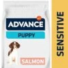 Advance Puppy Sensitive Salmón Y Arroz -Paws Tienda 12 kg 62184 8410650009353 dog 5