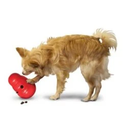 KONG Wobbler Para Snacks -Paws Tienda 1355067777031411080314 3