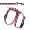 Set Hunter: Arnés + Correa Para Cachorros Y Gatos -Paws Tienda 137201 hunter geschirr sign 1 1