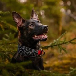 Rukka® Cube Soft Collar, Rojo / Negro -Paws Tienda 139798 lfashion rukka cube soft halsband rot hs 03 8