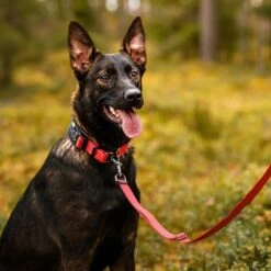 Rukka® Cube Soft Collar, Rojo / Negro -Paws Tienda 139798 lfashion rukka cube soft halsband rot hs 06 0