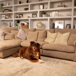 Pet Head Ditch The Dirt Champú Para Perros -Paws Tienda 159700 companyofanimals pethead ditchthedirt shampoo 300ml hs 06 9