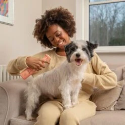 Pet Head Quick Fix Champú En Seco Para Perros -Paws Tienda 159702 companyofanimals pethead quickfixspray 300ml hs 05 3