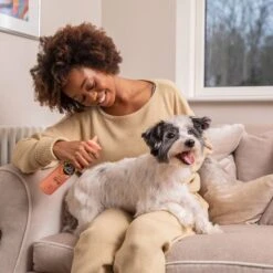 Pet Head Quick Fix Champú En Seco Para Perros -Paws Tienda 159702 companyofanimals pethead quickfixspray 300ml hs 06 2