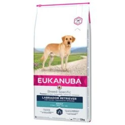 Eukanuba Breed Labrador Retriever
