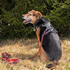 Petlando Arnés Pawz & Pepper Strong Rojo Y Negro Para Perros -Paws Tienda 174596 174696 petlando fuhrleinestrong rot 230cm hs 09 7