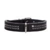 Collar De Cuero HUNTER Diamond Petit Negro Para Perros 2 Collar De Cuero HUNTER Diamond Petit Negro Para Perros -Paws Tienda 185704 185706 185708 184538 184539 184540 pla hunter halsband diamond petit schwarz hs 01 5