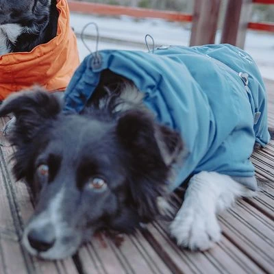 Abrigo Invernal Bare Storm Hurtta Para Perros - Imagen 6