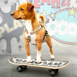 Arnés Max & Molly Cómic Para Perros -Paws Tienda 189999 186590 190000 maxnmolly h geschirr comic hs 03 8