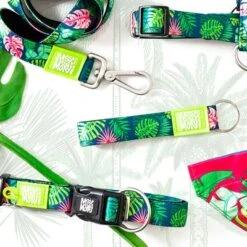 Correa Ajustable Max & Molly Tropical Para Perros -Paws Tienda 190209 190210 190212 maxnmolly multifunktionsleine tropical hs 02 1