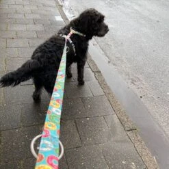 Arnés Max & Molly Donuts Para Perros -Paws Tienda 190296 190297 190396 maxnmolly hg eschirr donuts hs 05 6