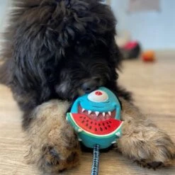 Max & Molly Bubba King Juguete De Látex Para Perros -Paws Tienda 191100 maxn molly kuscheltier spielzeug bubba king hs 04 5