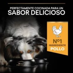 PURINA PRO PLAN Medium & Large Adult 7+ Age Defence -Paws Tienda 1 44152668 es es 221230 1 5