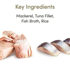 Applaws Latas En Caldo Para Gatos 12 X 156 G -Paws Tienda 1 71551 applaws bruehe meeresfisch 156g hs 01 4