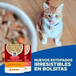 Hill's Science Plan Hill's Adult Sterilised Healthy Cuisine Con Pollo Y Salmón Para Gatos -Paws Tienda 1 cat key visual 0
