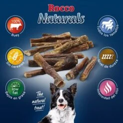 PROMO: 100 Uds. X Rocco Nervio De Buey 12 Cm -Paws Tienda 2019 09 rocco naturals pizzle 1000x1000 es 7