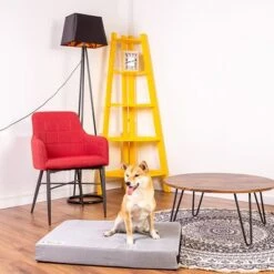 Colchón Classic Para Perros -Paws Tienda 203327 203328 geop zooplusexclusive hundematratze classic hs 14 1