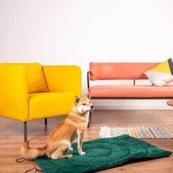 Esterilla De Viaje Brújula Para Perros -Paws Tienda 203427 geop reise hundematte kompass hs 01 5