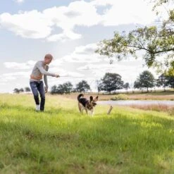 Trixie Caña Estimulante Juguete De Adiestramiento Para Perros -Paws Tienda 209093 trixie reizangel hs 06 8