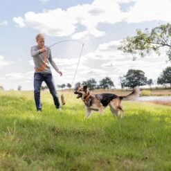 Trixie Caña Estimulante Juguete De Adiestramiento Para Perros -Paws Tienda 209093 trixie reizangel hs 07 5