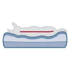 Cama Ortopédica Trixie Vital Sofa Bendson Para Perros -Paws Tienda 211497 209072 trixie vital sofa bendson hs 12 9