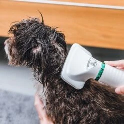 Cepillo Trixie De Aire Caliente 20 Cepillo Trixie De Aire Caliente -Paws Tienda 212217 trixie warmluftbuerste 300w hs 18 5