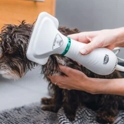 Cepillo Trixie De Aire Caliente 24 Cepillo Trixie De Aire Caliente -Paws Tienda 212217 trixie warmluftbuerste 300w hs 20 5