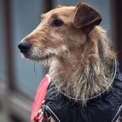 Abrigo HUNTER Uppsala Cozy Para Perros 17 Abrigo HUNTER Uppsala Cozy Para Perros -Paws Tienda 212940 212941 212942 hunter hundemantel uppsala cozy redblack hs 07 7