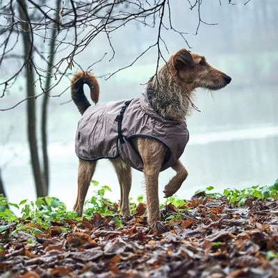 Abrigo HUNTER Uppsala Para Perros - Imagen 11