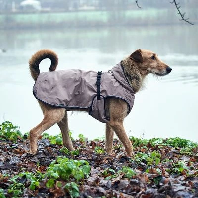 Abrigo HUNTER Uppsala Para Perros - Imagen 6