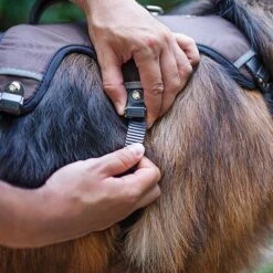 Arnés Ferplast Ergotrekking Marrón -Paws Tienda 224505 224506 224507 ferplast ergotrekking geschirr braun hs 11 2