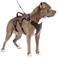 Arnés Ferplast Ergotrekking Marrón -Paws Tienda 224505 224506 224507 ferplast ergotrekking geschirr braun hs 14 0