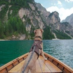 Arnés Ferplast Ergotrekking Marrón -Paws Tienda 224505 224506 224507 ferplast ergotrekking geschirr braun hs 18 4