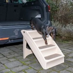 Escalera Easy Up Stairs Para Perros Y Gatos -Paws Tienda 230700 treppe auto fg 8508 0