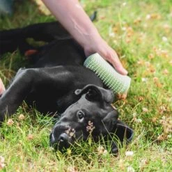 Pet Teezer Cepillo Para Cachorros -Paws Tienda 230724 pet teezer welpenbuerste hs 19 6