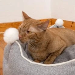 Cama Crown Para Mascotas -Paws Tienda 233898 crown mit katze fg 8999 6