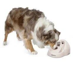 Petmate Fresh Flow Deluxe Bebedero Para Gatos -Paws Tienda 23406 petmate fresh flow deluxe creme hs 02 9