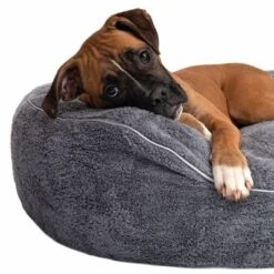 Cama Ortopédica Atlanta Modern Living Para Mascotas 26 Cama Ortopédica Atlanta Modern Living Para Mascotas -Paws Tienda 235197 atlanta boxer fg 9717 3
