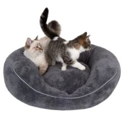 Cama Ortopédica Atlanta Modern Living Para Mascotas 35 Cama Ortopédica Atlanta Modern Living Para Mascotas -Paws Tienda 235396 und katze fg 9748 0