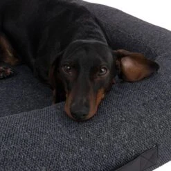 Cama Vienna Modern Living Para Perros -Paws Tienda 235397 hundebett vienna fg 9662 0