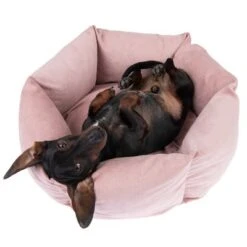 Cama Manila Para Mascotas -Paws Tienda 235399 hundebett manila fg 0288 2